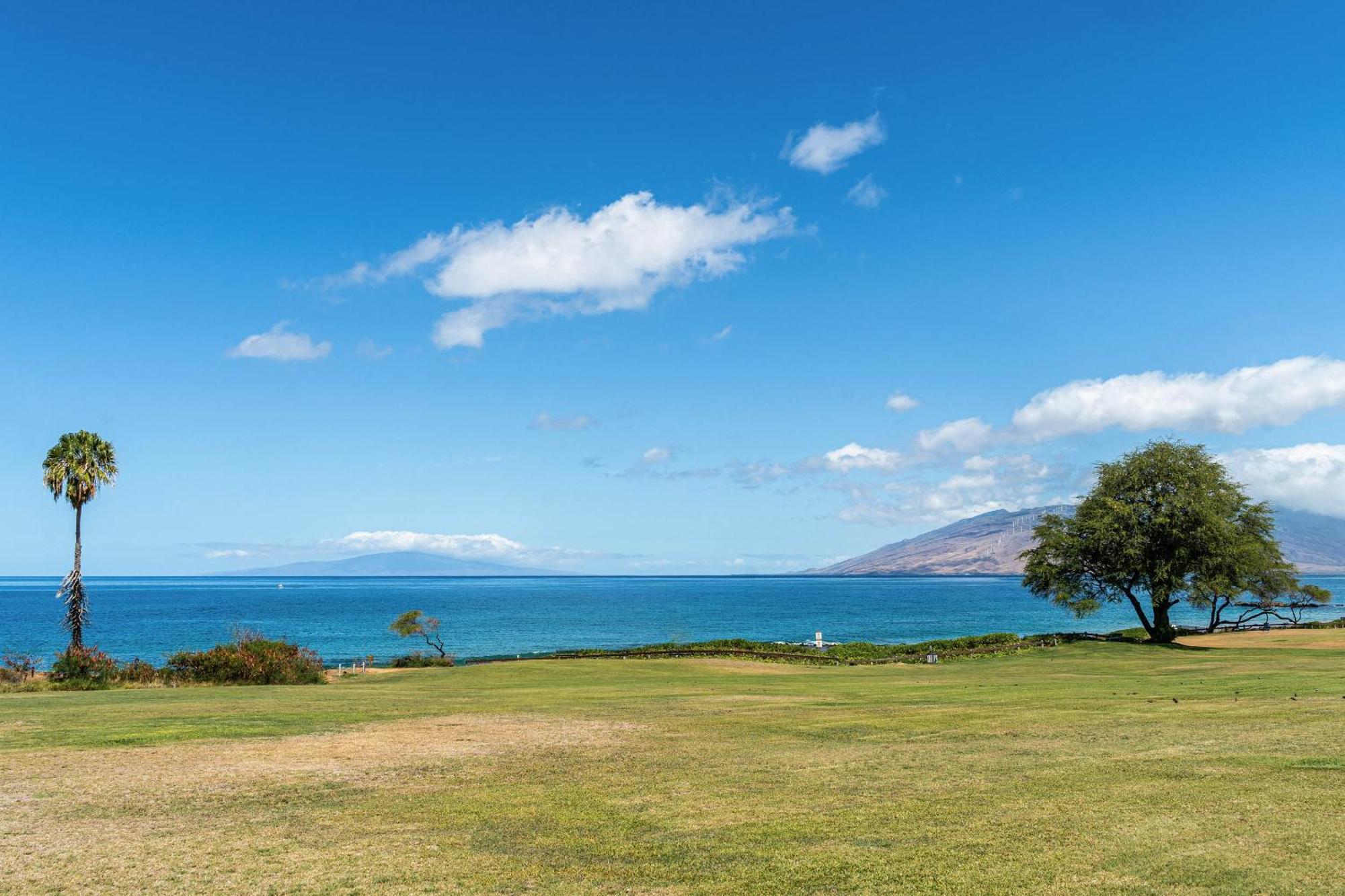 Maui Kamaole H-101 Apartment Уайлеа Екстериор снимка